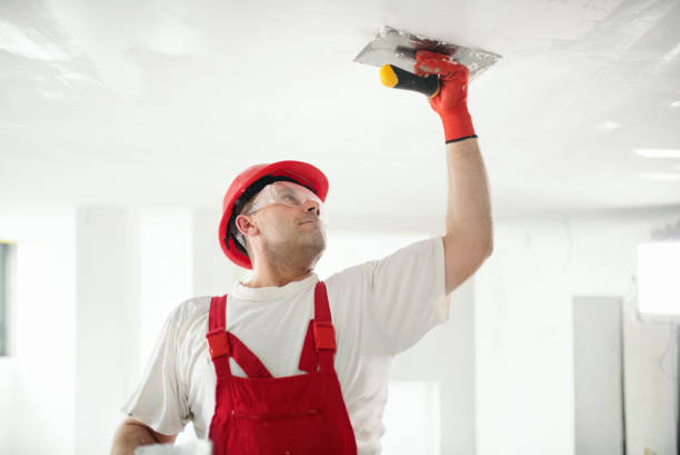 Best Emergency Mold Remediation  in High Bridge, WA