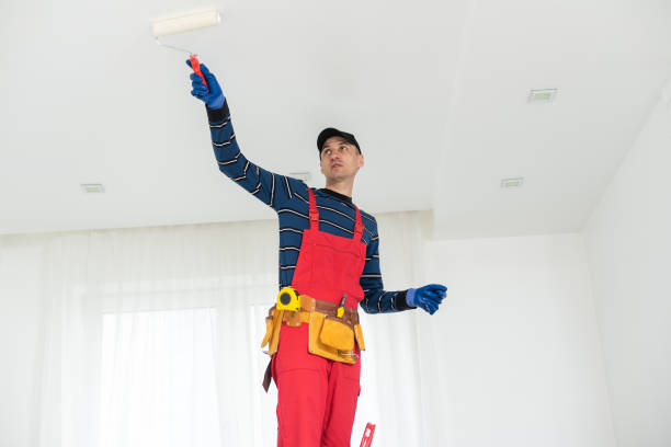 Best Black Mold Removal  in High Bridge, WA
